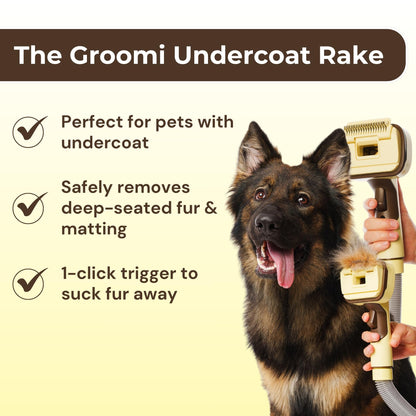 3-In-1 Pet Grooming Vacuum Brush For All Coats