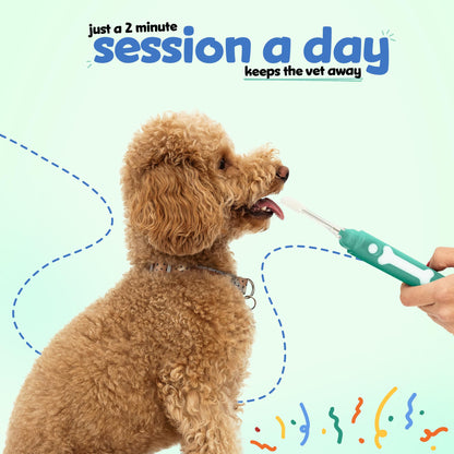 Electrolytic Dog Toothbrush For Plaque Removal