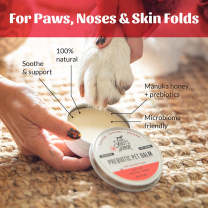 Prebiotic Pet Balm For Dry Paws & Noses