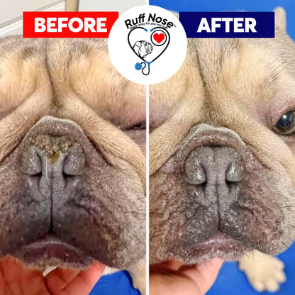 Natural Nose & Paw Balm For Dry Pet Skin