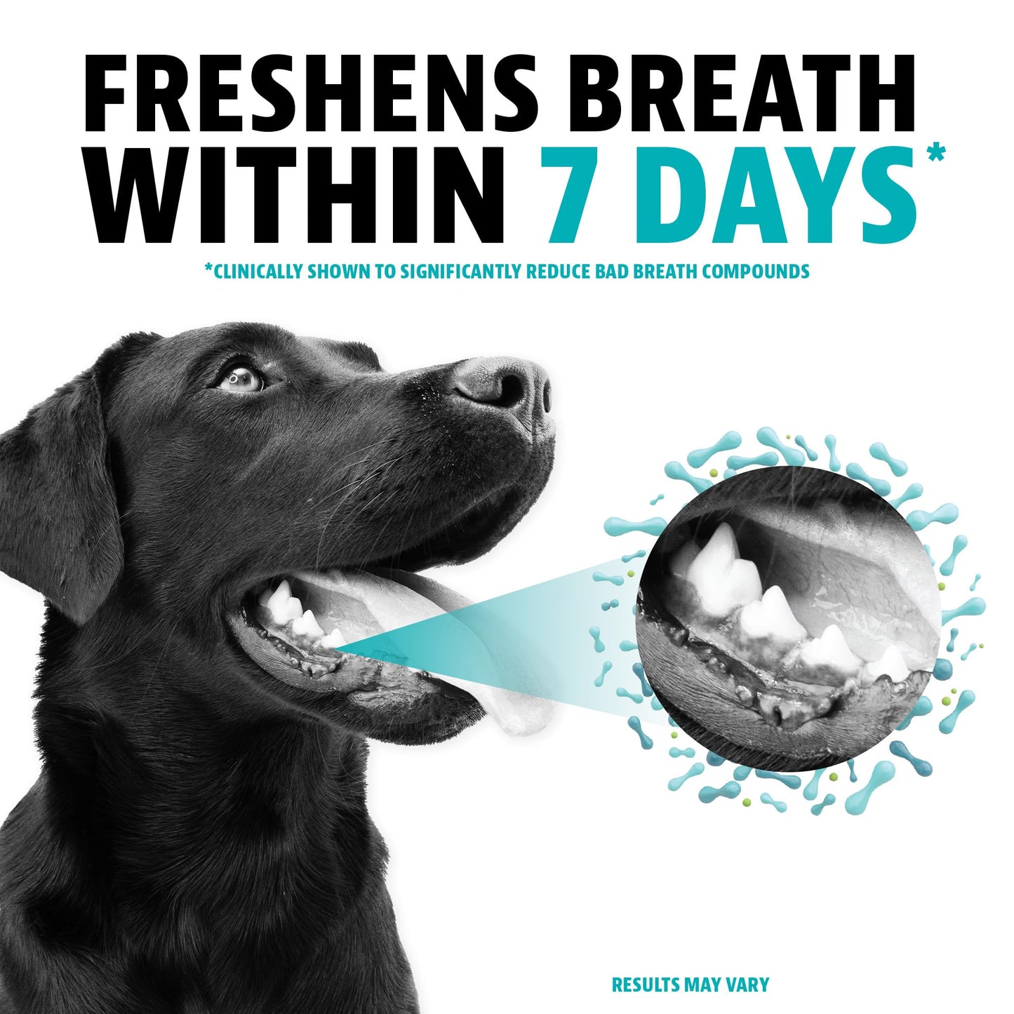 Brush-Free Dental Powder For Fresh Pet Breath