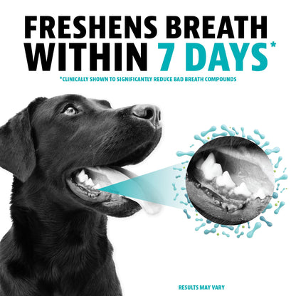 Brush-Free Dental Powder For Fresh Pet Breath