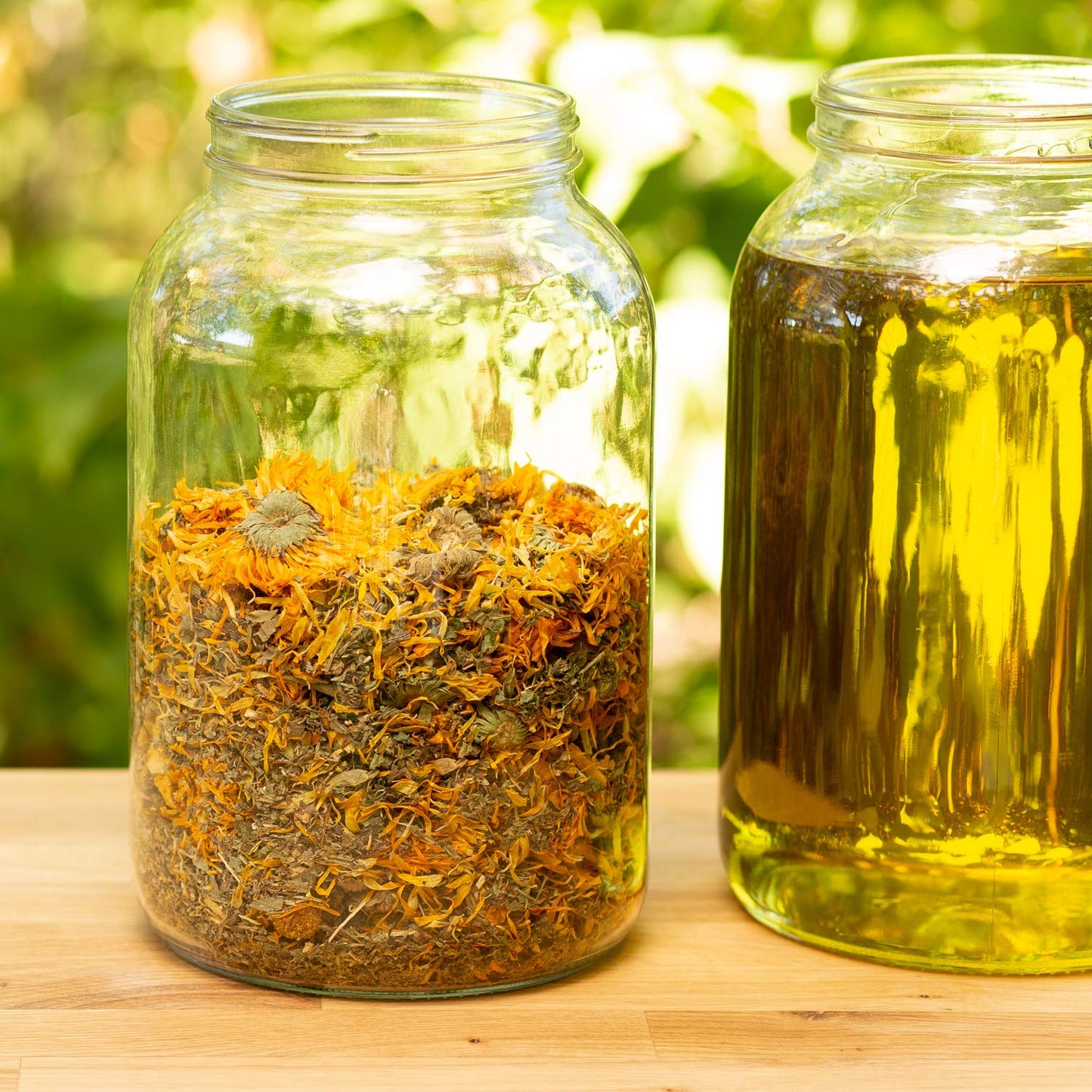 Herbal Pet Salve For Paws, Nose & Hot Spots