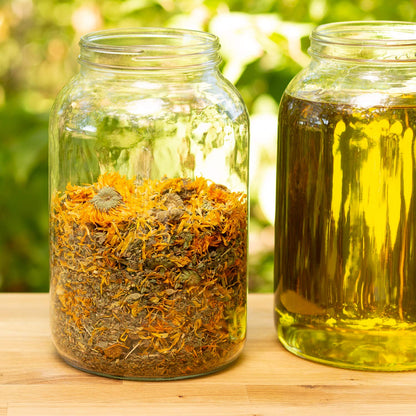 Herbal Pet Salve For Paws, Nose & Hot Spots