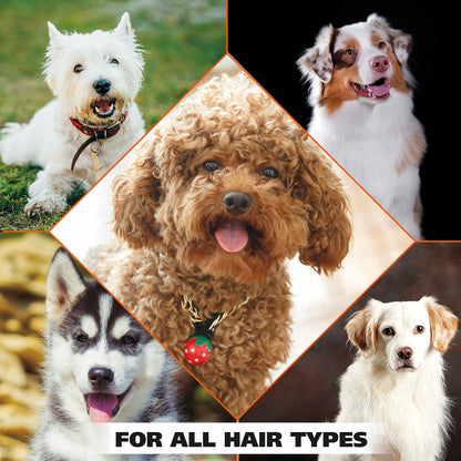 Oatmeal Pet Shampoo For Dry Itchy Skin